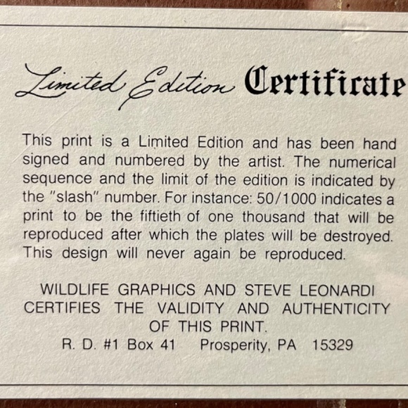 Vintage Steve Leonardi Racoon print wall decor - Picture 2 of 3